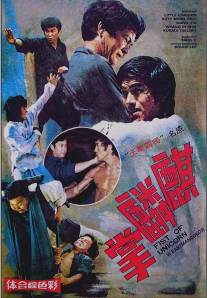 Брюс Ли и я/Qi lin zhang (1976)