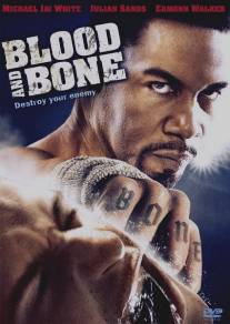 Кровь и кость/Blood and Bone (2009)