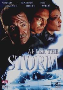 После шторма/After the Storm (2001)
