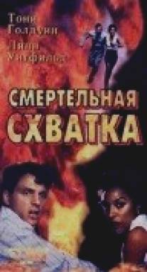 Смертельная схватка/Taking the Heat (1993)