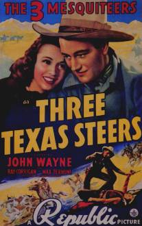 Три техасских наездника/Three Texas Steers (1939)