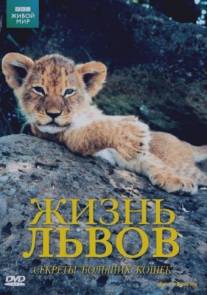 BBC: Жизнь львов/Lions: Spy in the Den