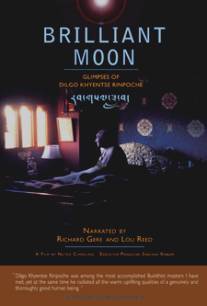 Бриллиантовая луна/Brilliant Moon (2010)