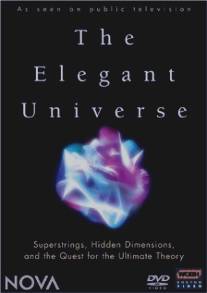 Элегантная вселенная/Elegant Universe, The