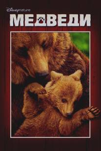 Медведи/Bears