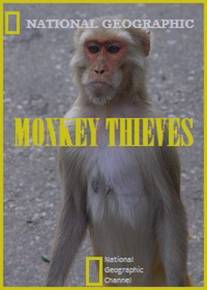 Обезьяны-воришки/Monkey Thieves (2008)