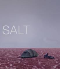 Соль/Salt (2009)