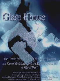 Стеклянный дом/Glass House