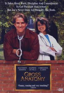 Большая медицина/Gross Anatomy (1989)