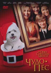 Чудо-пес/My Dog's Christmas Miracle (2011)
