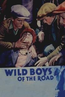 Дикие парни с дороги/Wild Boys of the Road (1933)