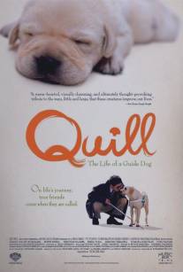 Куилл/Quill (2004)