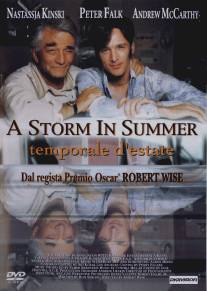 Летний шторм/A Storm in Summer
