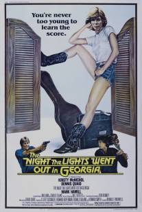 Ночь, когда погасли огни в Джорджии/Night the Lights Went Out in Georgia, The (1981)
