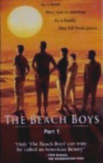 Подростки из прибрежного городка/Beach Boys: An American Family, The (2000)