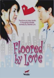 Сражен любовью/Floored by Love (2005)
