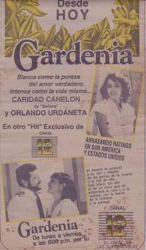 Гардения/Gardenia