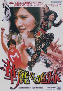 Великолепная погоня/Karei-naru tsuiseki (1975)