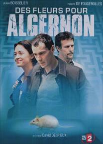 Цветы для Алджернона/Des fleurs pour Algernon (2006)