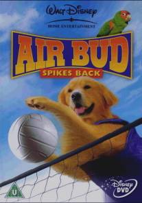 Король воздуха: Возвращение/Air Bud: Spikes Back (2003)