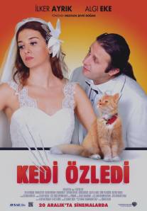 Кошки были пропущены/Kedi Ozledi (2013)