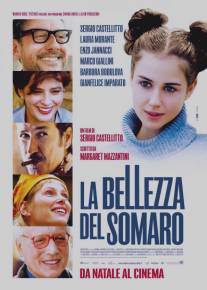 Красота осла/La bellezza del somaro (2010)