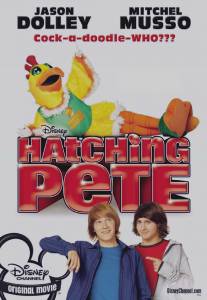 Пит в перьях/Hatching Pete