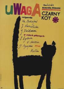 Черный котенок/Cherniy kotenok (1965)