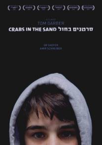 Крабы в песке/Crabs in the Sand (2012)
