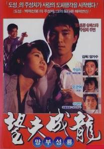 Любовь есть любовь/Wang fu cheng long (1990)