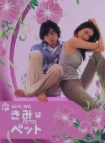 Мой любимец/Kimi wa petto (2003)