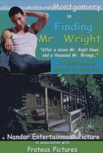 В поисках мистера Райта/Finding Mr. Wright (2011)