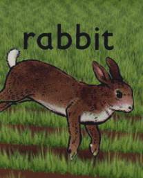 Кролик/Rabbit (2005)