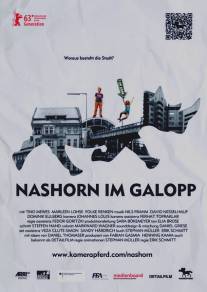Носорог скачет галопом/Nashorn im Galopp (2013)