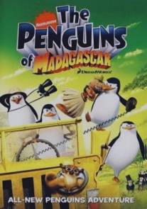 Пингвины из Мадагаскара/Penguins of Madagascar, The (2008)