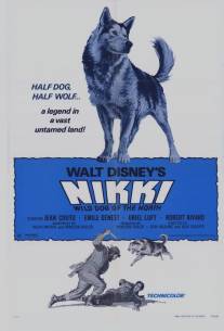 Дикий пес Севера/Nikki, Wild Dog of the North