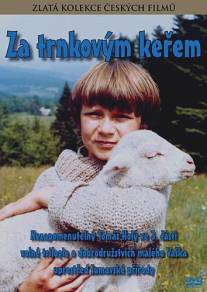 За кустами терновника/Za trnkovym kerem (1982)