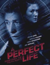 Идеальная жизнь/A Perfect Life (2010)