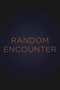 Случайная встреча/Random Encounter (1998)