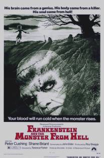 Франкенштейн и монстр из ада/Frankenstein and the Monster from Hell (1973)