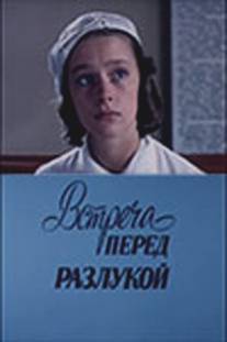 Встреча перед разлукой/Vstrecha pered razlukoy (1985)