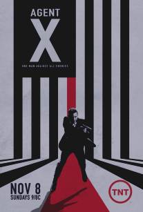 Агент Икс/Agent X (2015)