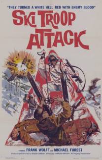 Атака горнолыжной бригады/Ski Troop Attack