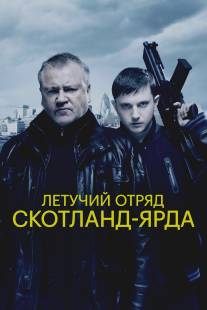 Летучий отряд Скотланд-Ярда/Sweeney, The (2012)