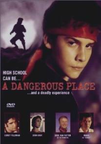 Не сдавайся/A Dangerous Place (1995)