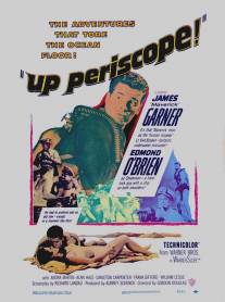 Поднять перископ/Up Periscope