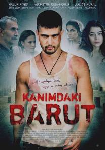 Порох в моей крови/Kanimdaki Barut (2009)