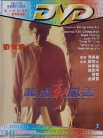 Разыскиваемый/Long hu xin feng yun: Zhi tou hao tong ji fan (1994)