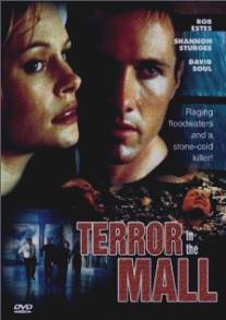 Темный дождь/Terror in the Mall (1998)