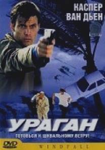 Ураган/Windfall (2002)